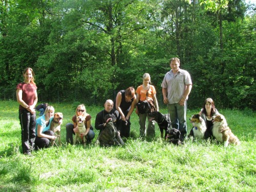 V�cvikov� kurzy pro psy i jejich p�n�ky