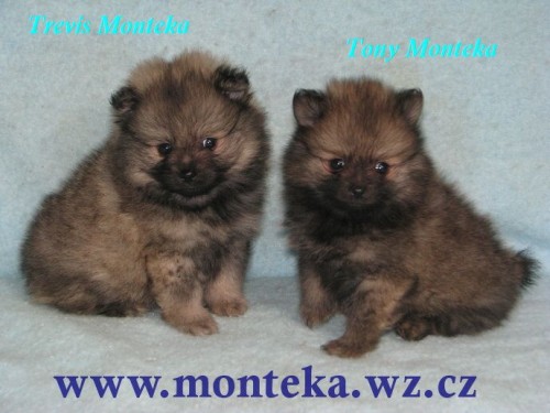 n�meck� �pic mal�