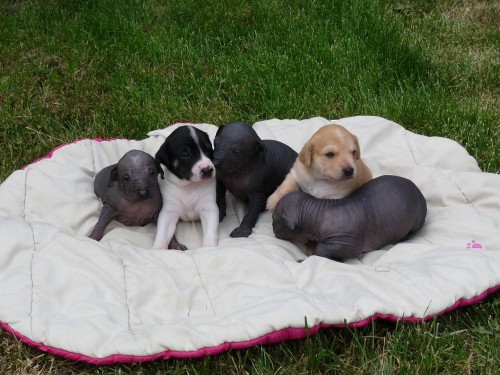 Prod�m n�dhern� st��ata peru�nsk�ho nah��e