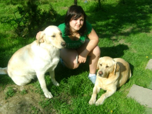 Prod�m �t��ata labradora