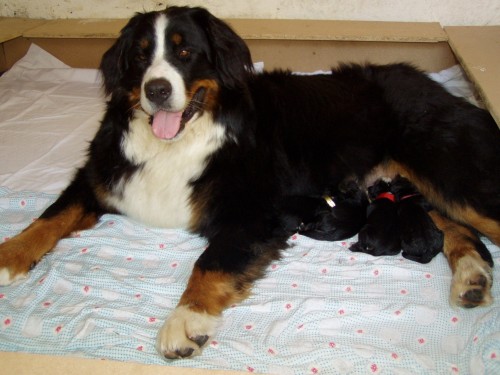 Zad�me �t��ata