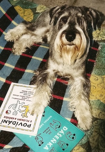 Hled�m ps� sle�nu za ��elem zalo�en� rodiny