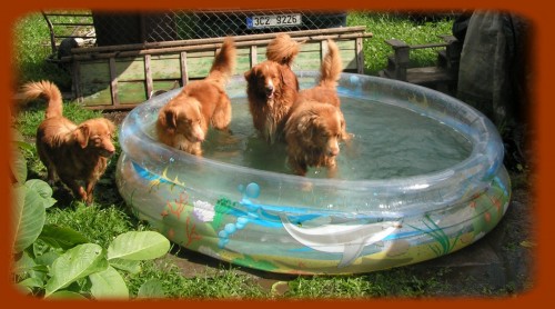 nejmen�� retr�vr