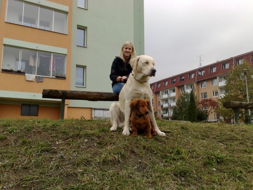 Ven�en� a hl�d�n� pejsk�