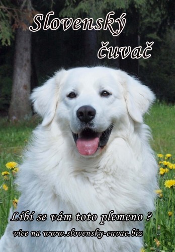 Slovensk� �uva�