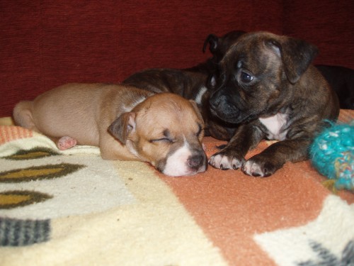 prod�m �t��ata