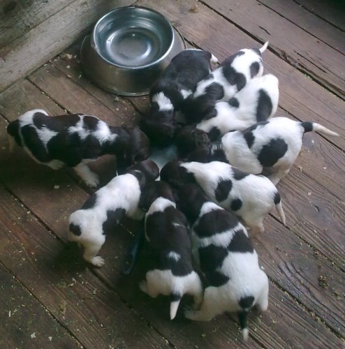 prod�m �t��ata, k odb�ru od 1.9.2010