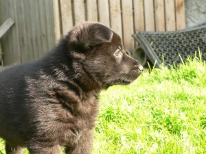 NO - celo�ern� �t��ata