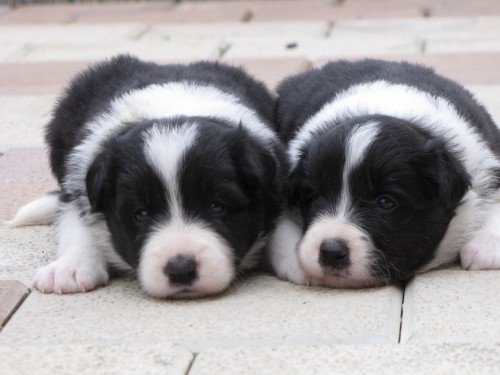  Posledn� dv� �t���tka!!!