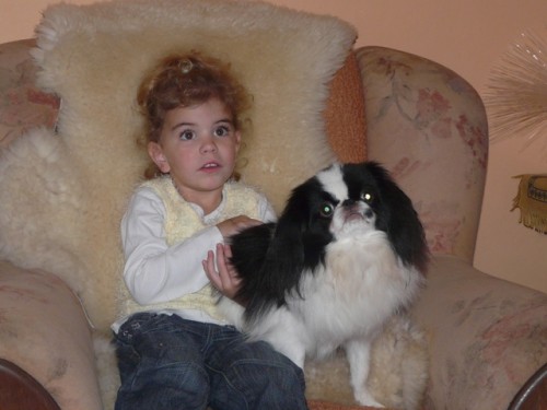 Japan chin-japon��k s P.P.