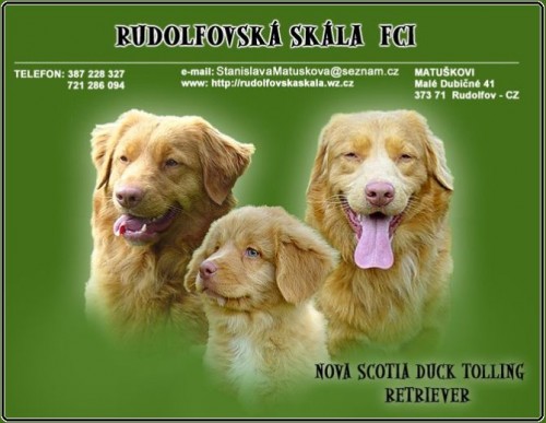 nova scotia-nejmen�� retr�vr