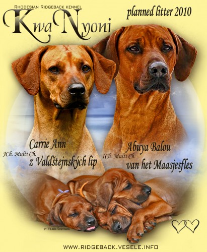 Ch.st. KwaNyoni p�ij�m� rezervace na �t���tka