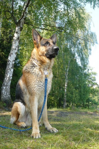  Nab�z�m ke kryt�