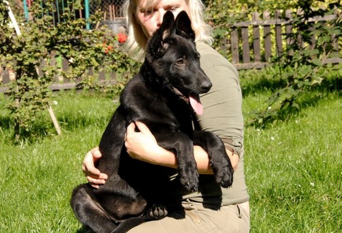 celo�ern� fenka zahrani�.kryt�