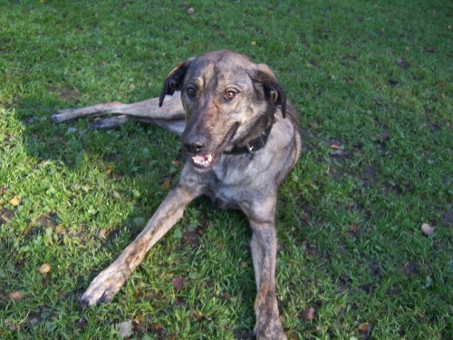 Hled�m novou rodinu