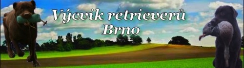 V�CVIK RETRIEVER� v Brn�