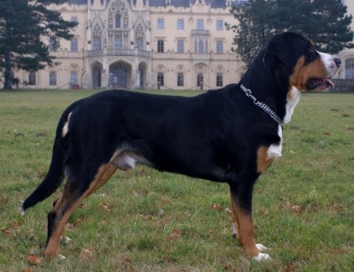 Nab�dka ke kryt�