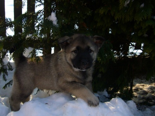 Prod�m �t�n�