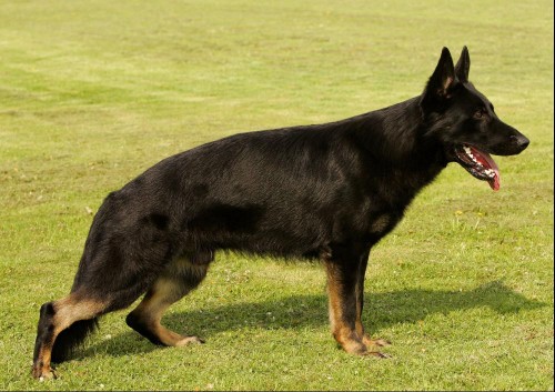 NAB�Z�ME POPRV� v �esk� republice!!