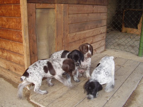 Nab�z�m k prodeji �t��ata NKO