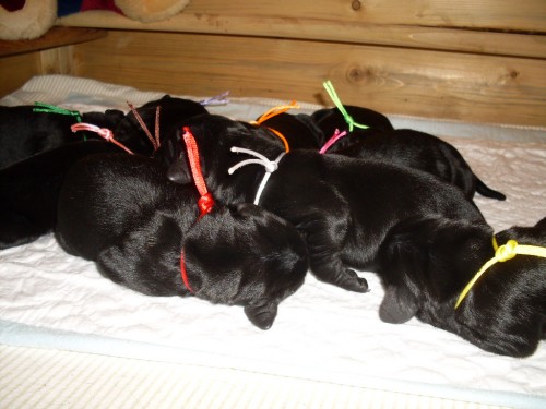 Nab�z�me �t���tka 