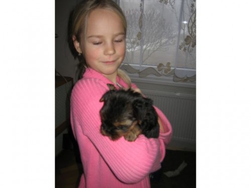 �t�n� jork��rsk�ho teri�ra