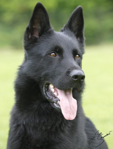 P�ij�m�m z�znam na kvalitn� �t�n�tka