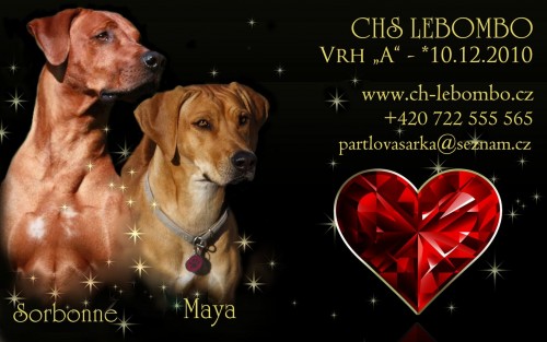 �t���tka s PP