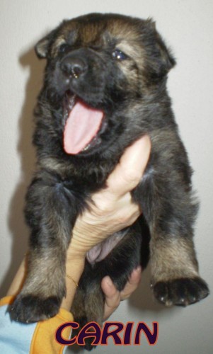 Prod�m �t�nata NO ob�r ihned