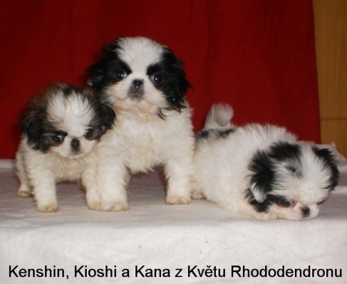 Prod�m �t���tka Japan- china