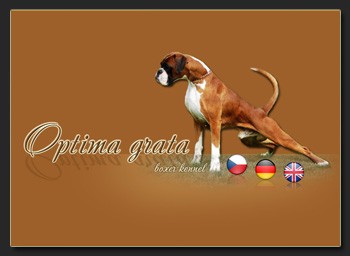 Tvorba www presentac� & fotografov�n�