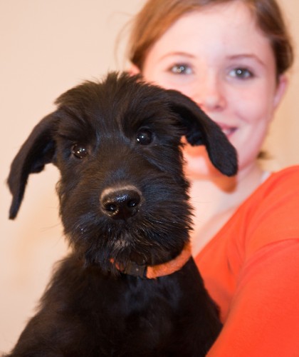 Kn�ra� velk� �ern� s PP