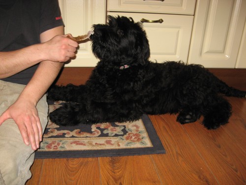 Kn�ra� velk� �ern�