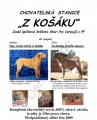 Shar-Pei / �arpej s PP