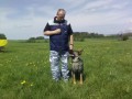 K-9 TRAINING - KYNOLOGICK� SLU�BY
