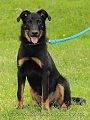 Prod�m Beaucerona