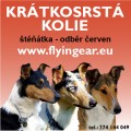 Kr�tkosrst� kolie - �t��ata