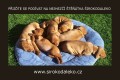 VIZSLA - �t���tka s PP