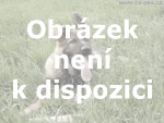 tata se zahraninho kryt - Holandsko