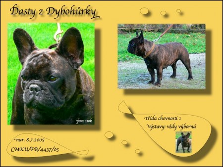 Dasty z Dybohrky