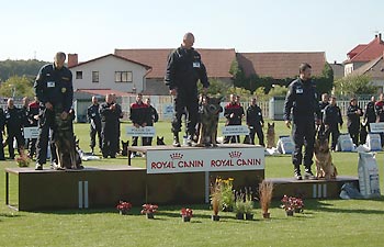 A t�i nejlep�� v kategorii p�trac�ch ps�