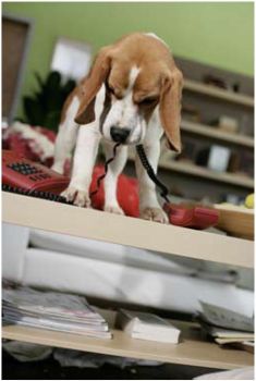 poji�t�n� l��ebn�ch v�loh MAZL��EK