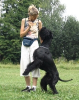 V�cvikov� v�kend s kn�ra�i