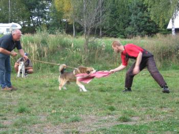 Lajka na obran�...