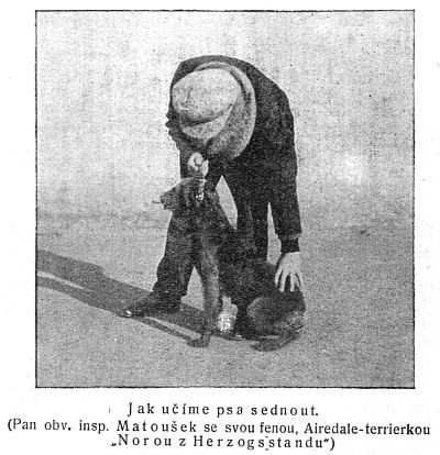 Jak u��me psa sednout