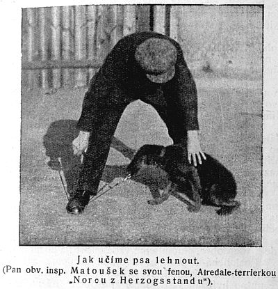 Jak u��me psa lehnout