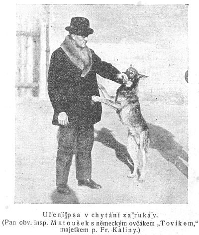 U�en� psa v chyt�n� za ruk�v...