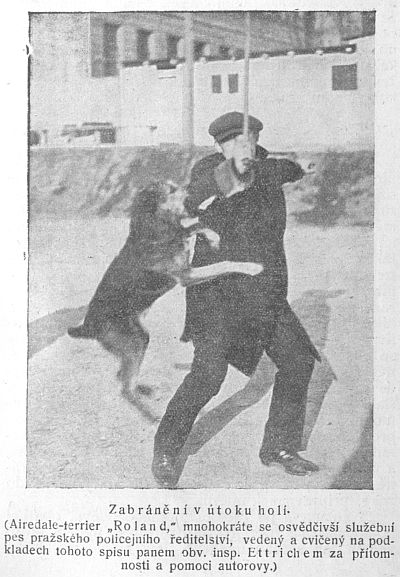 Zabr�n�n� v �toku hol�