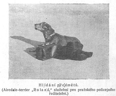 Hl�d�n� p�edm�tu