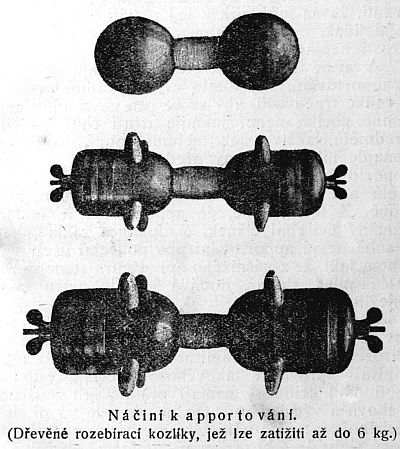 N��in� k apportov�n�